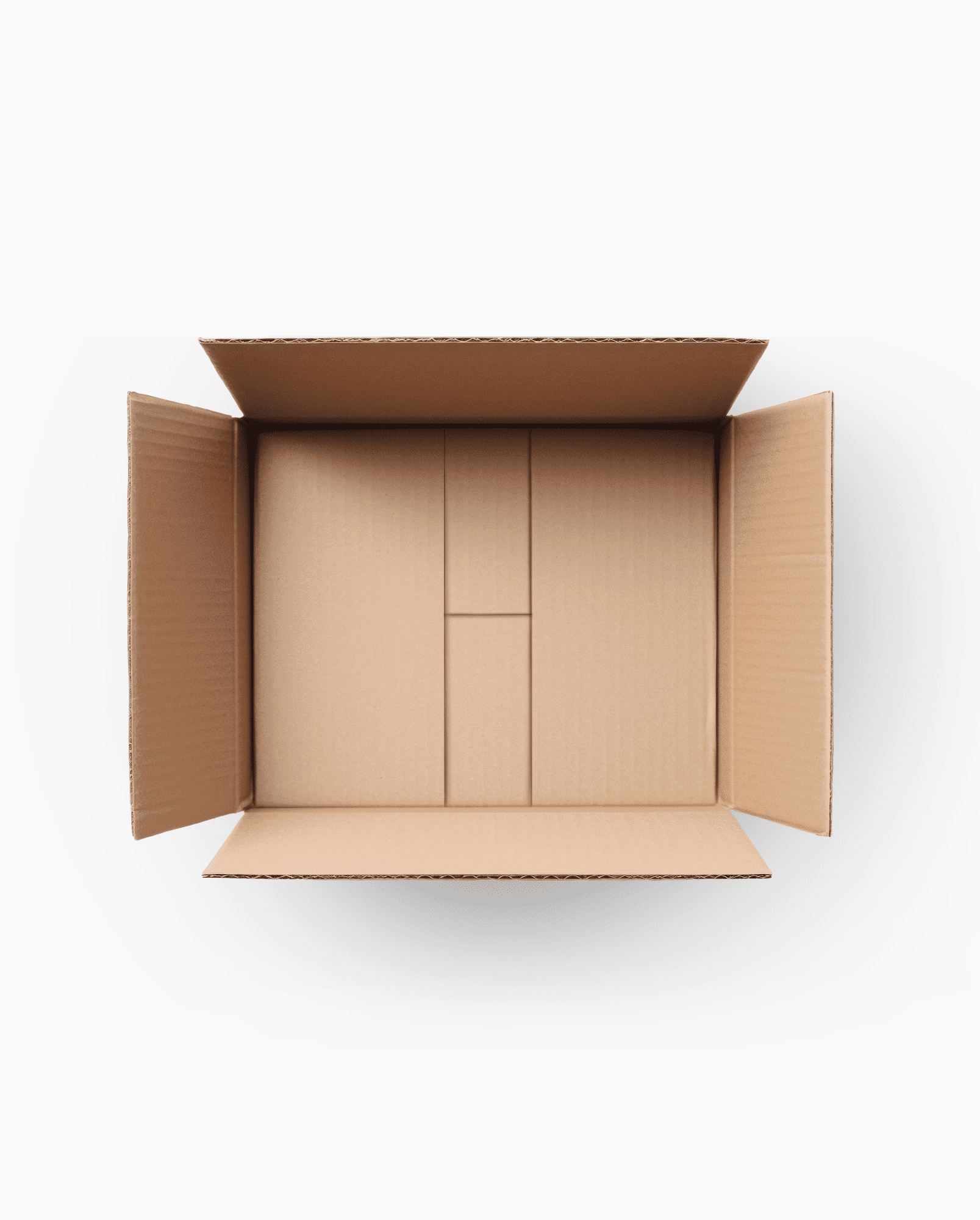 3. Encartonadora E9 - Caja.png